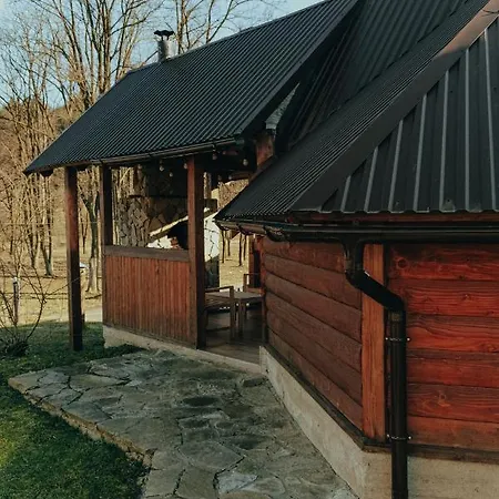 Vigora Верховина